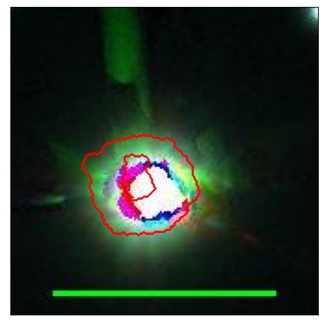 1951_001.0_contour_z