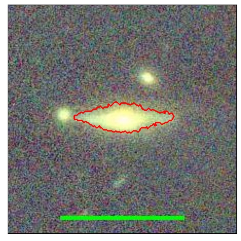 1981_006.1_contour_r