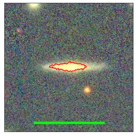 1981_019.0_contour_y