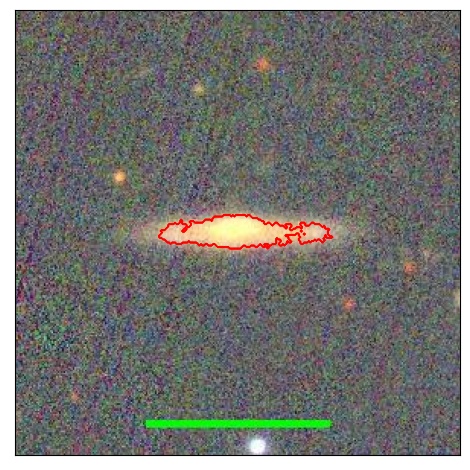 1981_036.0_contour_g