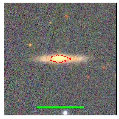 1981_036.0_contour_y