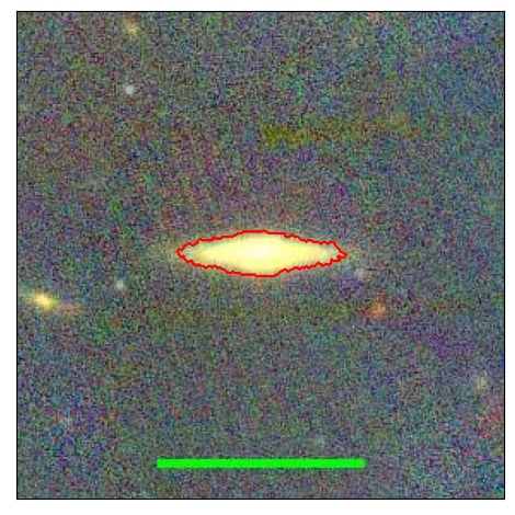 1981_051.0_contour_r