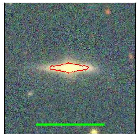 1981_081.0_contour_y