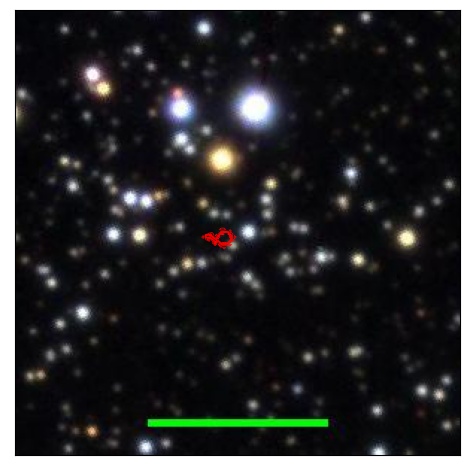 1995_007.0_contour_y