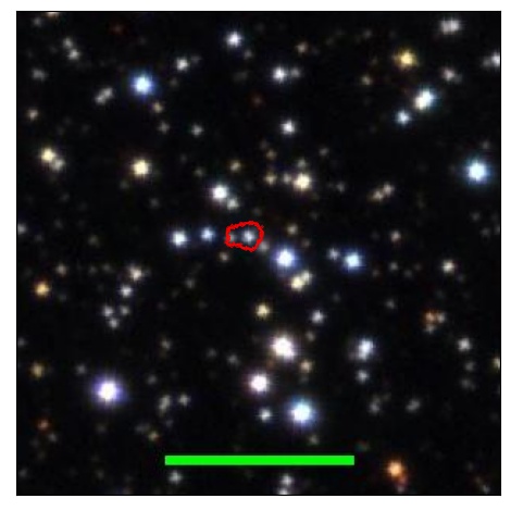 1995_009.0_contour_g