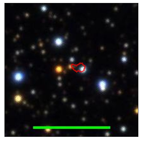 1995_021.0_contour_g