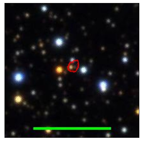 1995_021.0_contour_z