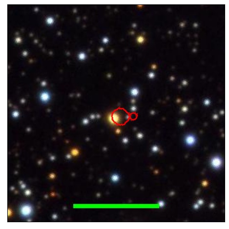 1995_051.0_contour_g