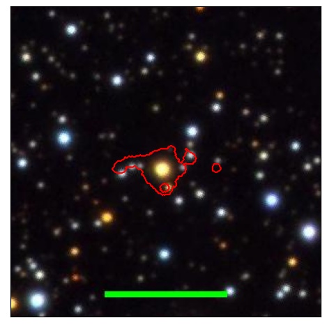 1995_051.0_contour_y