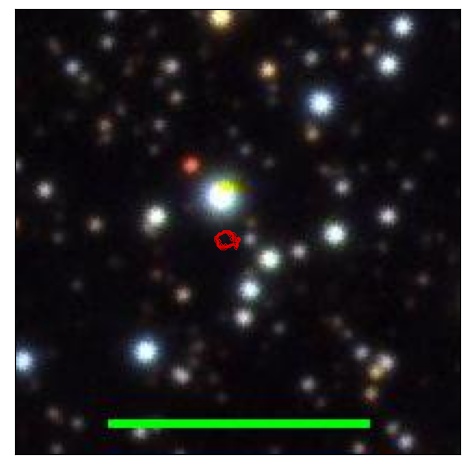 1995_054.0_contour_y