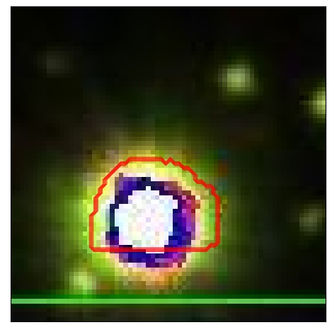 1995_057.0_contour_y