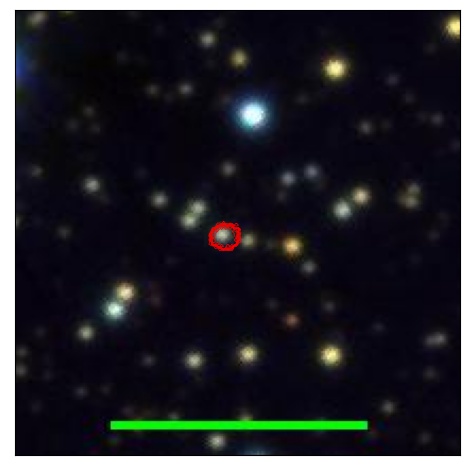 1995_081.1_contour_y