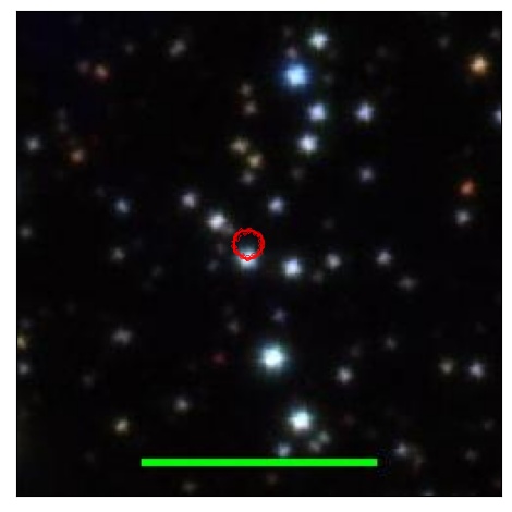 1995_088.0_contour_z