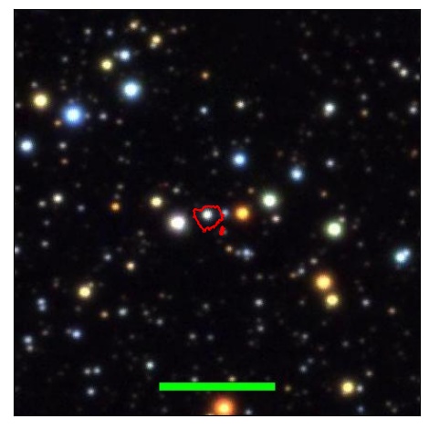 1995_091.0_contour_y