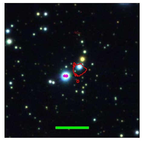 1998_008.0_contour_g