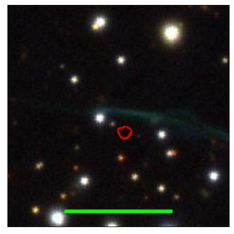 1998_010.0_contour_y