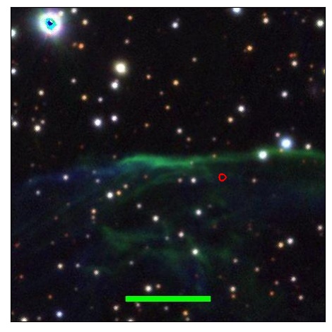 1998_050.2_contour_y