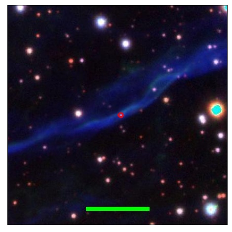 1998_061.1_contour_y