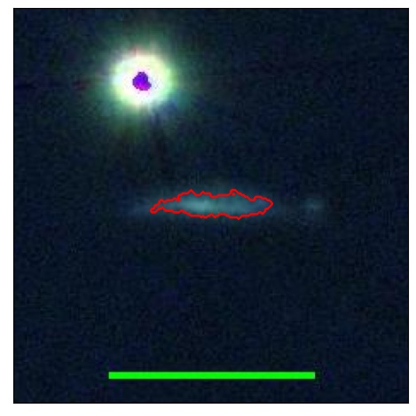 2019_031.0_contour_g