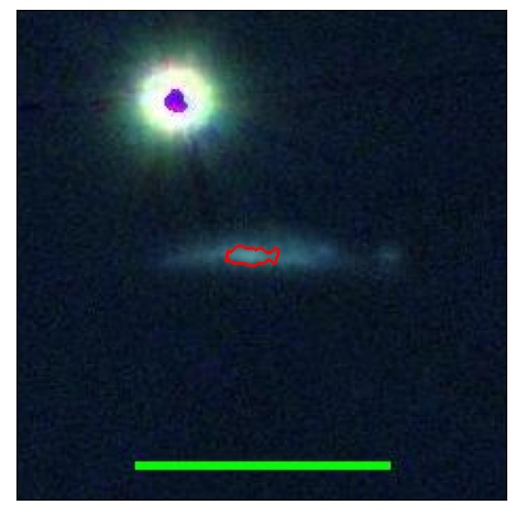 2019_031.0_contour_y