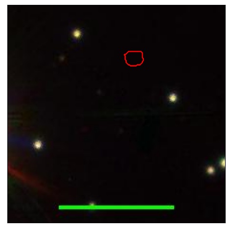 2029_002.0_contour_g