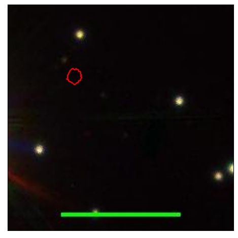 2029_002.0_contour_i