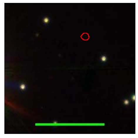 2029_002.0_contour_y