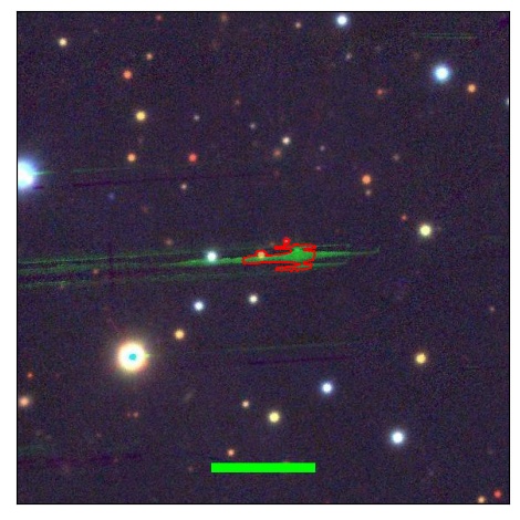 2031_009.0_contour_r