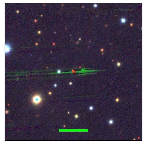 2031_009.0_contour_z