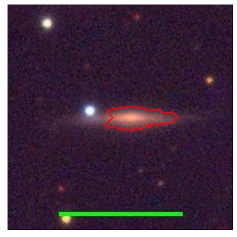 2031_011.0_contour_r