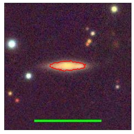 2031_021.0_contour_y