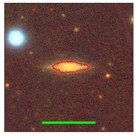 2031_023.1_contour_g