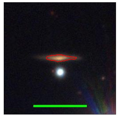 2036_007.0_contour_y