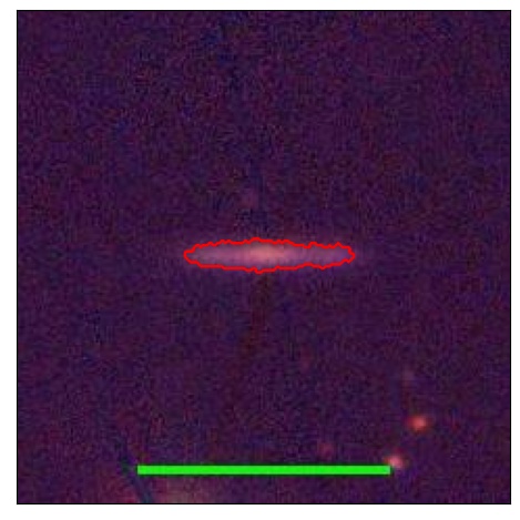 2041_036.0_contour_r