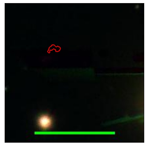 2068_072.0_contour_i