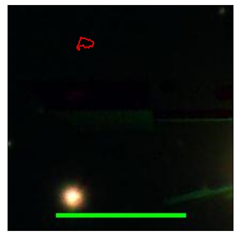 2068_072.0_contour_y