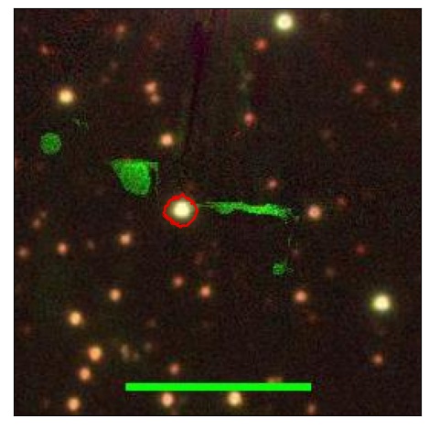 2074_006.0_contour_i