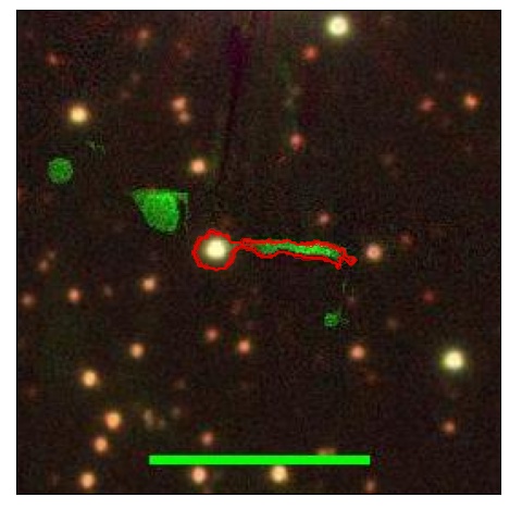 2074_006.0_contour_r