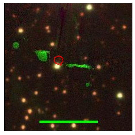 2074_006.0_contour_y