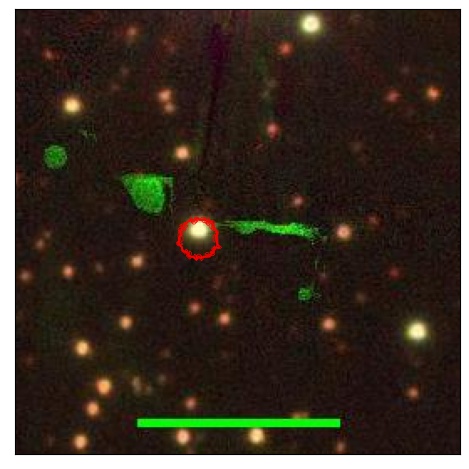 2074_006.0_contour_z