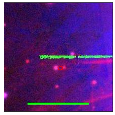 2076_070.0_contour_g