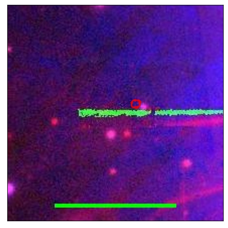 2076_070.0_contour_y