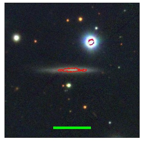 2081_037.0_contour_y