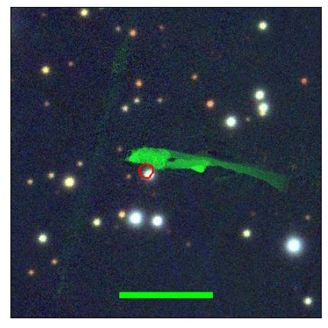 2101_061.0_contour_g