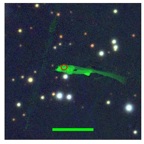 2101_061.0_contour_y