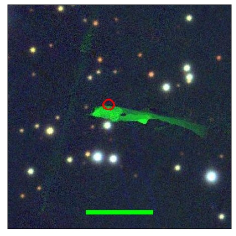 2101_061.0_contour_z