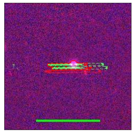 2116_063.0_contour_r