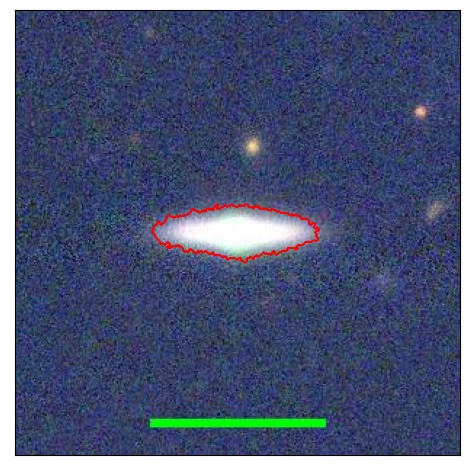 2117_031.1_contour_r