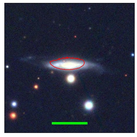 2135_011.0_contour_g