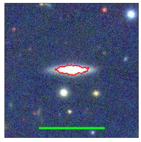 2139_041.0_contour_y